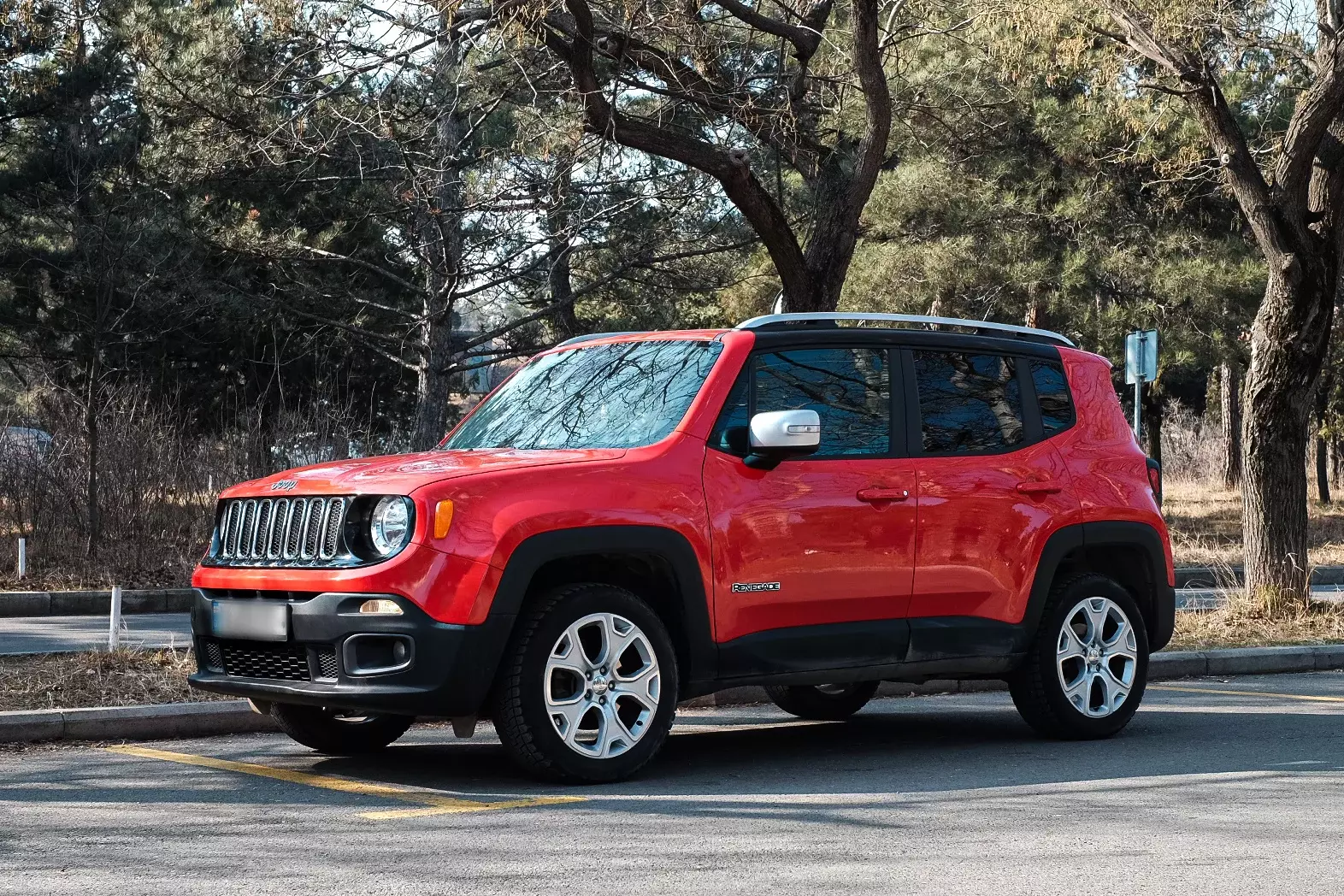 carrentalgeorgia image